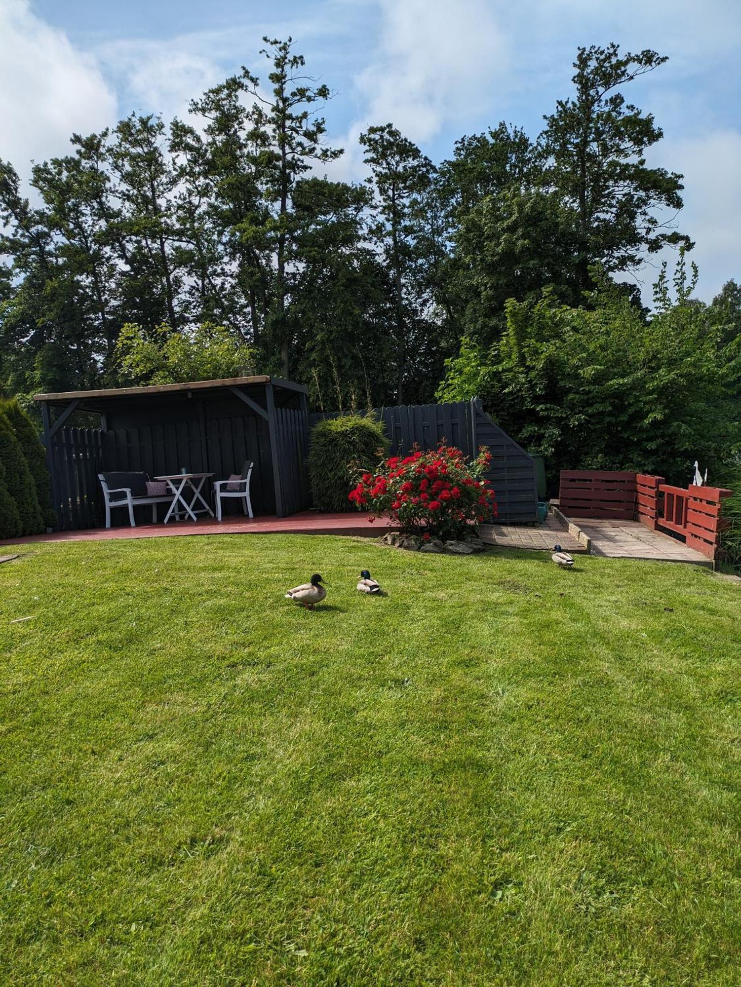 Haus Vivienne Villa ดอร์นุม ภายนอก รูปภาพ